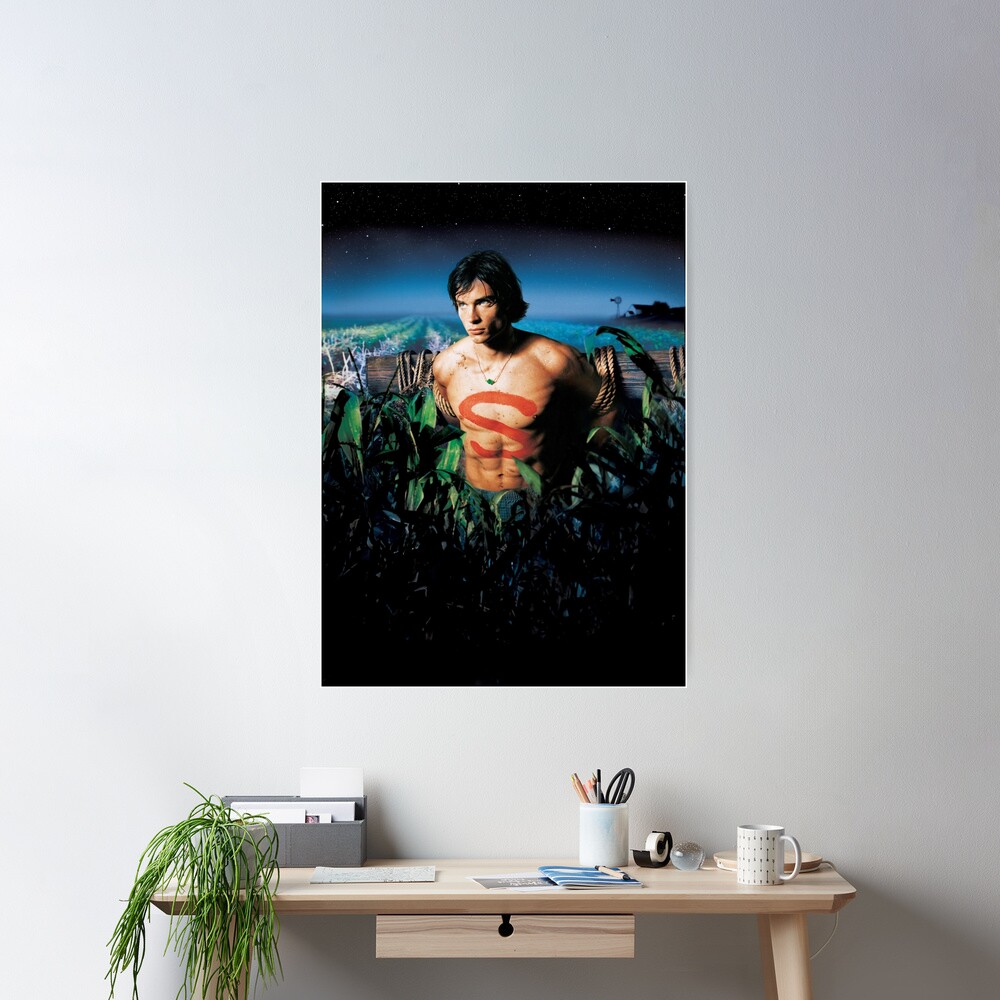 Smallville Seasons Poster - Image 2